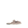 Gray Lamb Ovis Aries Aries Mules